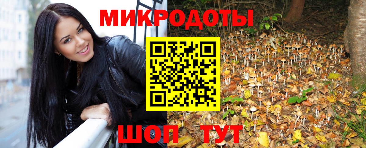 Белебей  Галлюциногенные грибы Cubensis  Вход с VPN 